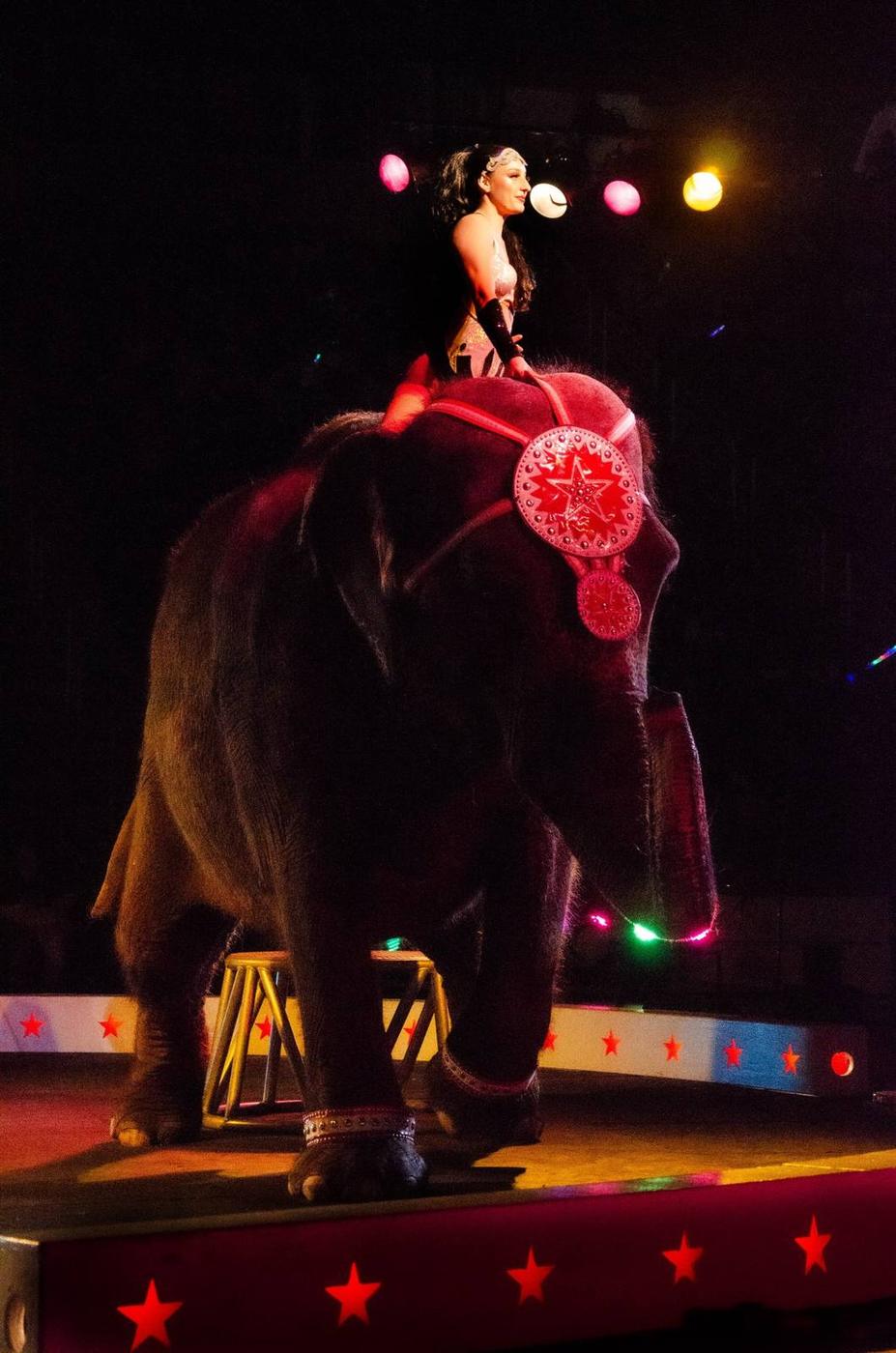 A costumed performer riding an elephant in the circus ring