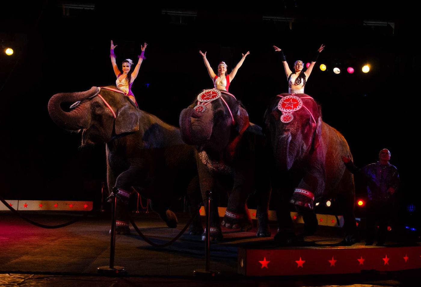 A ringmaster speaking into a microphone beneath dramatic stage lights